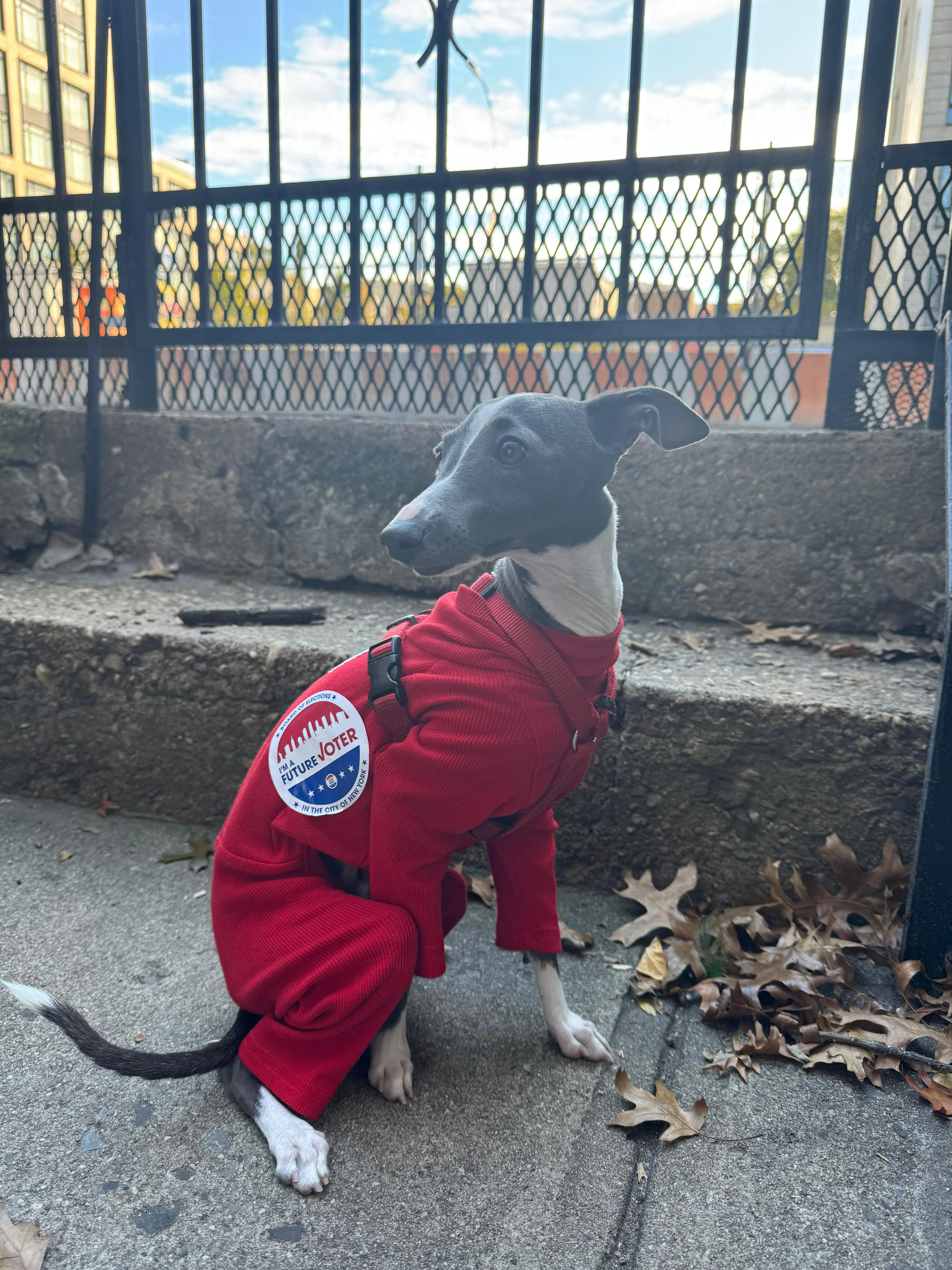 Neelu sitting by a gate wearing a red coat with an I Voted sticker